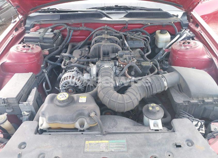 Photo 10 of 2008 Ford Mustang V6 DELUXE/V6 PREMIUM (VIN 1ZVHT84NX85170490)