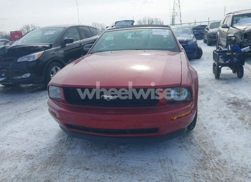 Photo 12 of 2008 Ford Mustang V6 DELUXE/V6 PREMIUM (VIN 1ZVHT84NX85170490)