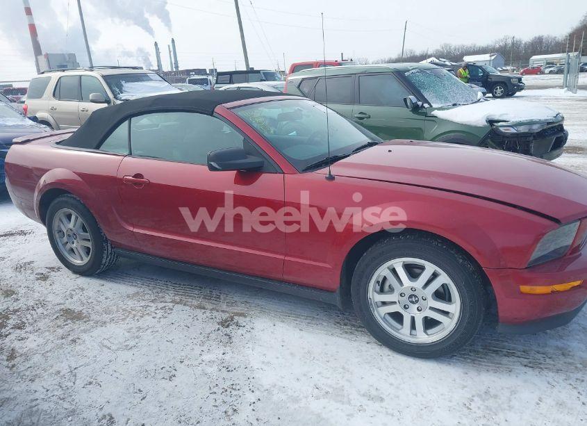Photo 13 of 2008 Ford Mustang V6 DELUXE/V6 PREMIUM (VIN 1ZVHT84NX85170490)