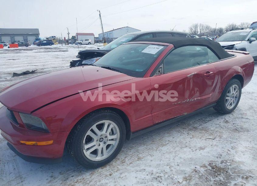 Photo 14 of 2008 Ford Mustang V6 DELUXE/V6 PREMIUM (VIN 1ZVHT84NX85170490)