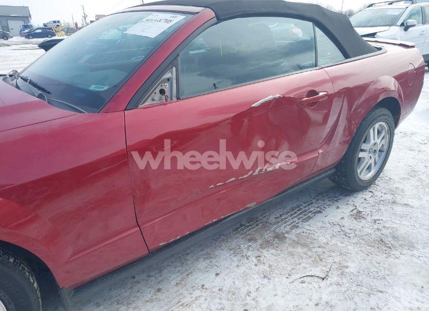 Photo 6 of 2008 Ford Mustang V6 DELUXE/V6 PREMIUM (VIN 1ZVHT84NX85170490)