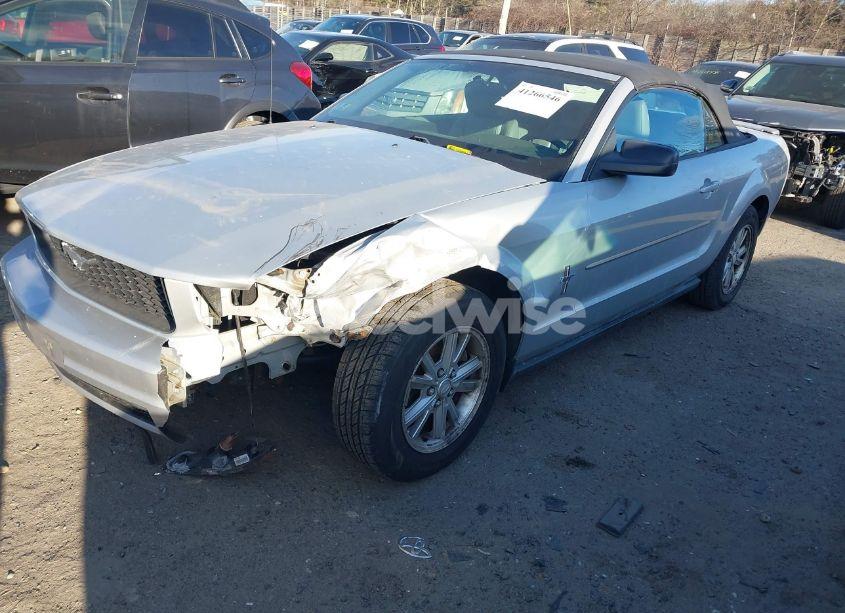 Photo 6 of 2008 Ford Mustang V6 DELUXE/V6 PREMIUM (VIN 1ZVHT84NX85204394)