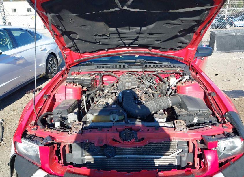 Photo 10 of 2009 Ford Mustang V6/V6 PREMIUM (VIN 1ZVHT84NX95112820)