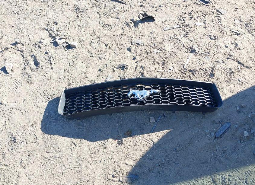 Photo 12 of 2009 Ford Mustang V6/V6 PREMIUM (VIN 1ZVHT84NX95112820)