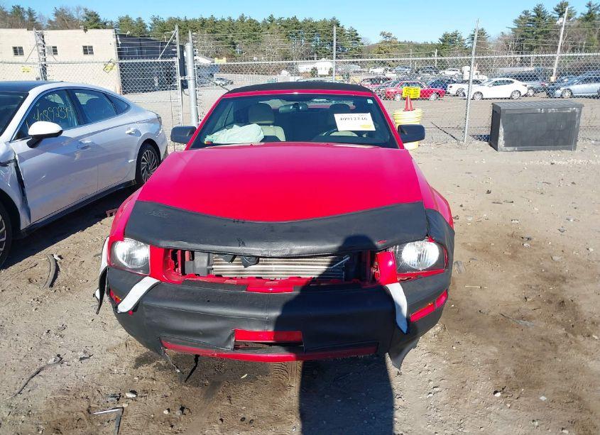 Photo 13 of 2009 Ford Mustang V6/V6 PREMIUM (VIN 1ZVHT84NX95112820)