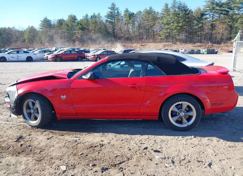 Photo 15 of 2009 Ford Mustang V6/V6 PREMIUM (VIN 1ZVHT84NX95112820)