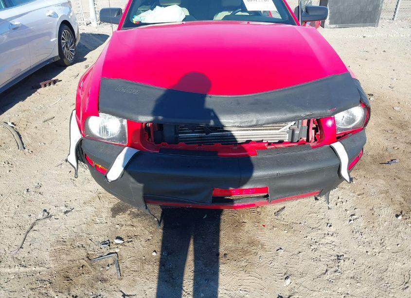 Photo 6 of 2009 Ford Mustang V6/V6 PREMIUM (VIN 1ZVHT84NX95112820)