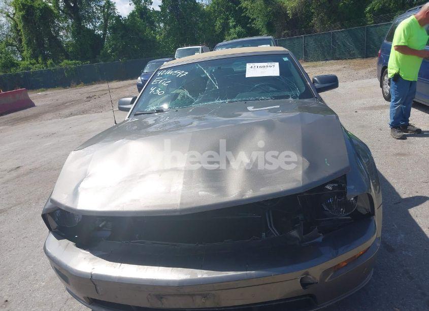 Photo 12 of 2005 Ford Mustang GT (VIN 1ZVHT85H055246075)