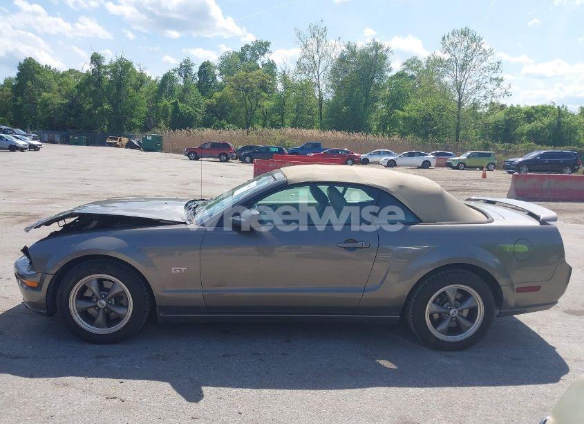 Photo 14 of 2005 Ford Mustang GT (VIN 1ZVHT85H055246075)
