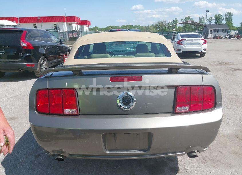 Photo 16 of 2005 Ford Mustang GT (VIN 1ZVHT85H055246075)