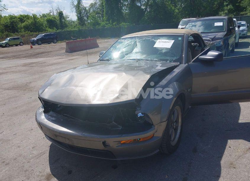 Photo 6 of 2005 Ford Mustang GT (VIN 1ZVHT85H055246075)