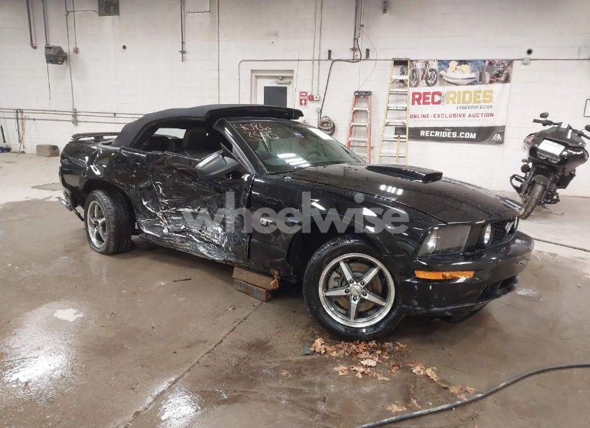 2008 Ford Mustang GT DELUXE/GT PREMIUM (VIN 1ZVHT85H085148510) main photo