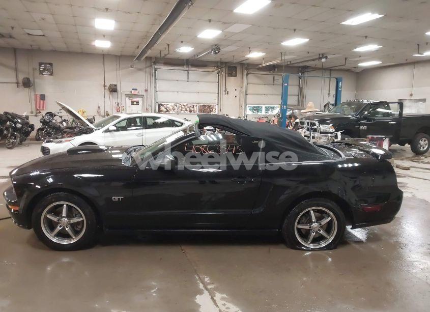 Photo 15 of 2008 Ford Mustang GT DELUXE/GT PREMIUM (VIN 1ZVHT85H085148510)