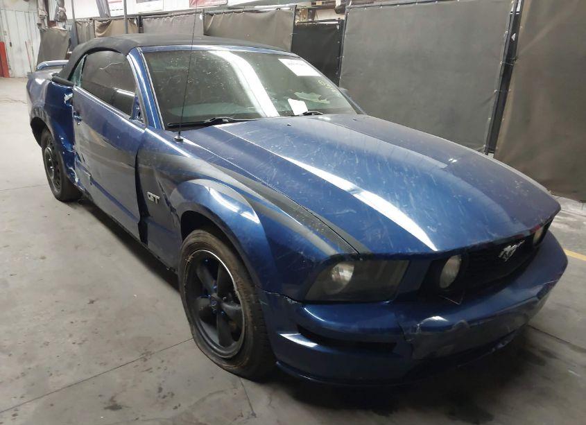 2008 Ford Mustang GT DELUXE/GT PREMIUM (VIN 1ZVHT85H085156056) main photo