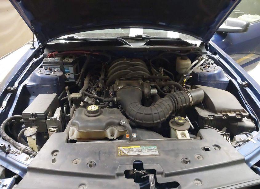 Photo 10 of 2008 Ford Mustang GT DELUXE/GT PREMIUM (VIN 1ZVHT85H085156056)