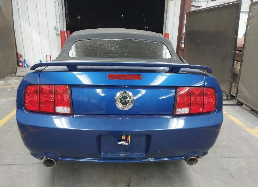 Photo 15 of 2008 Ford Mustang GT DELUXE/GT PREMIUM (VIN 1ZVHT85H085156056)