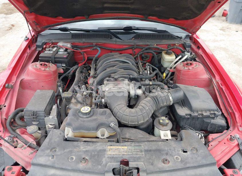 Photo 10 of 2007 Ford Mustang GT DELUXE/GT PREMIUM (VIN 1ZVHT85H175237646)