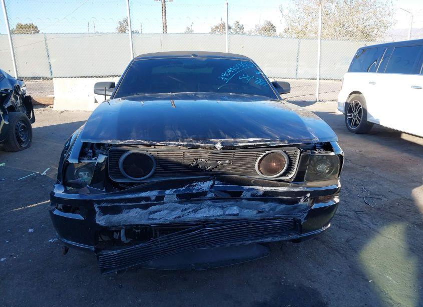 Photo 12 of 2006 Ford Mustang GT (VIN 1ZVHT85H265250372)