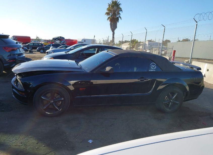 Photo 14 of 2006 Ford Mustang GT (VIN 1ZVHT85H265250372)