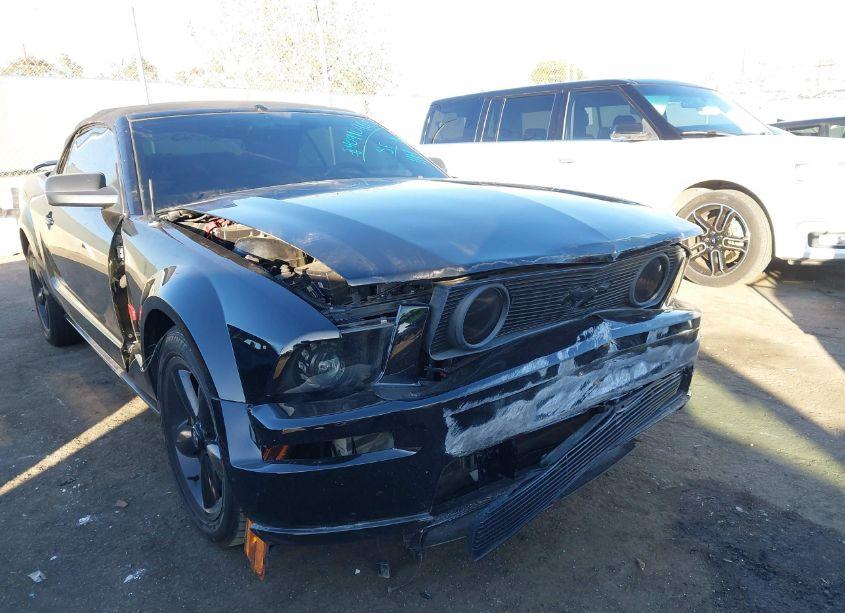 Photo 6 of 2006 Ford Mustang GT (VIN 1ZVHT85H265250372)