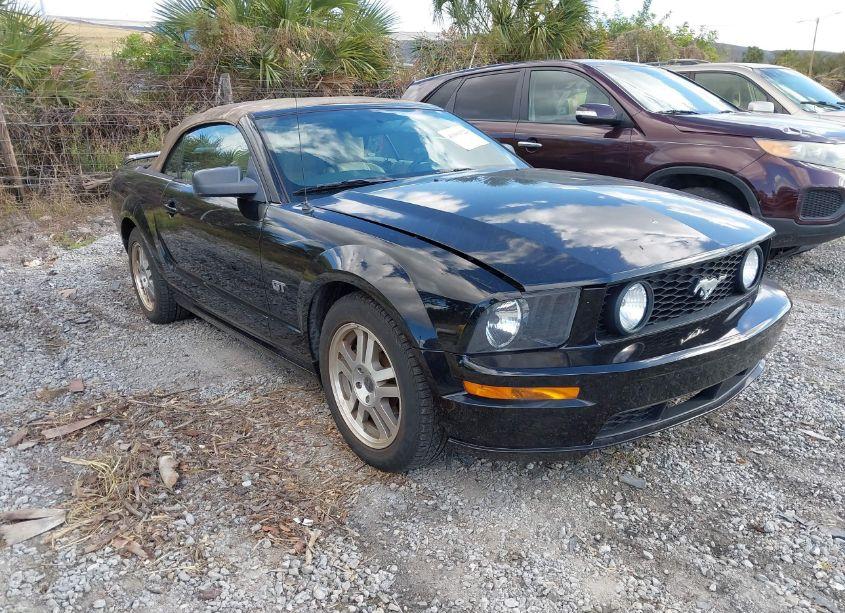 2005 Ford Mustang GT (VIN 1ZVHT85H355211692) main photo
