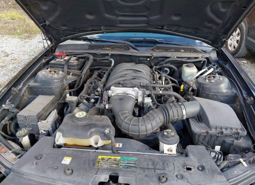 Photo 10 of 2005 Ford Mustang GT (VIN 1ZVHT85H355211692)