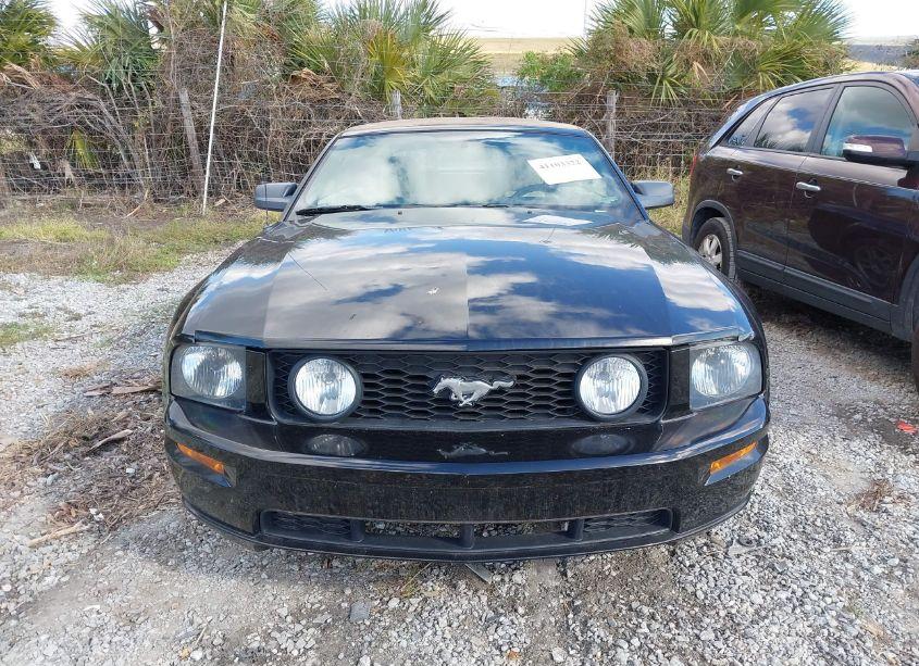 Photo 12 of 2005 Ford Mustang GT (VIN 1ZVHT85H355211692)