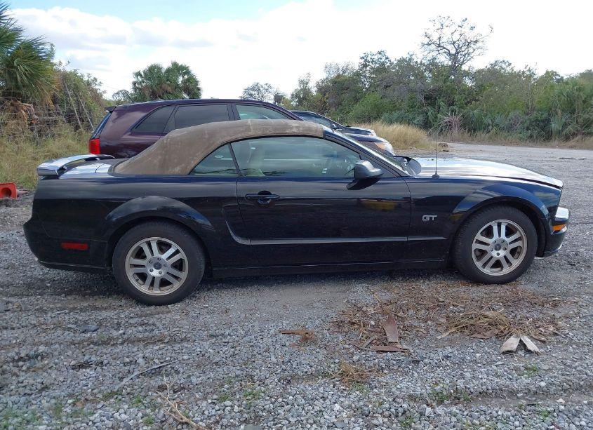 Photo 13 of 2005 Ford Mustang GT (VIN 1ZVHT85H355211692)