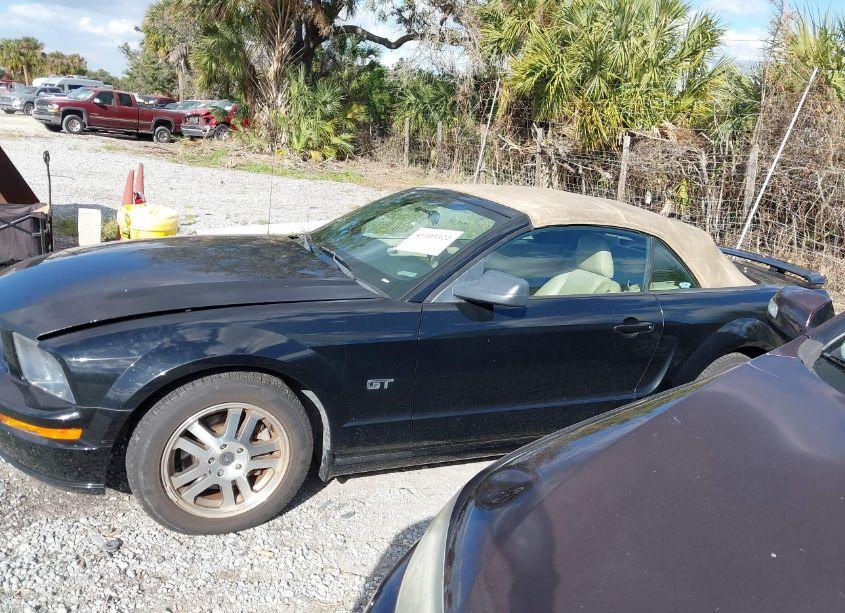 Photo 14 of 2005 Ford Mustang GT (VIN 1ZVHT85H355211692)