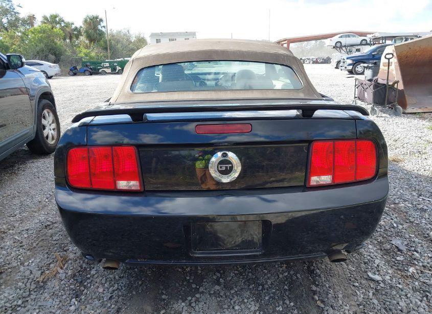 Photo 16 of 2005 Ford Mustang GT (VIN 1ZVHT85H355211692)