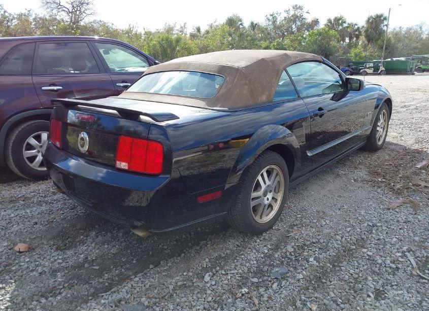 Photo 4 of 2005 Ford Mustang GT (VIN 1ZVHT85H355211692)