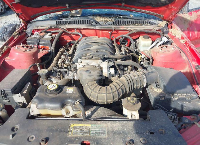 Photo 10 of 2006 Ford Mustang GT (VIN 1ZVHT85H365134338)