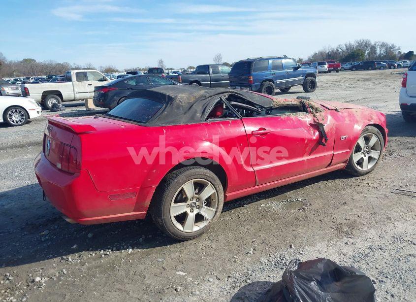 Photo 4 of 2006 Ford Mustang GT (VIN 1ZVHT85H365134338)