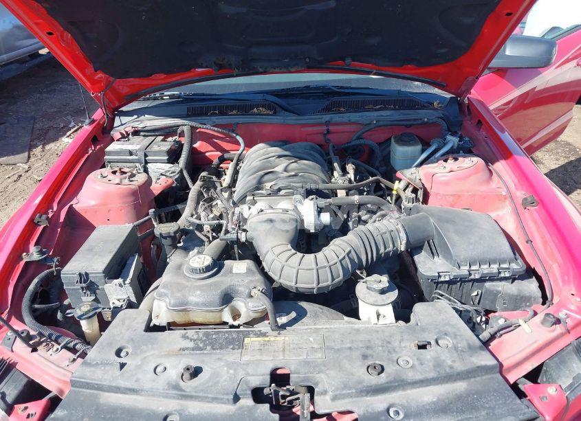 Photo 10 of 2006 Ford Mustang GT (VIN 1ZVHT85H365214187)