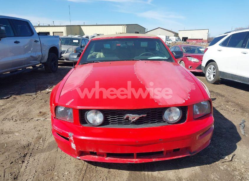 Photo 12 of 2006 Ford Mustang GT (VIN 1ZVHT85H365214187)