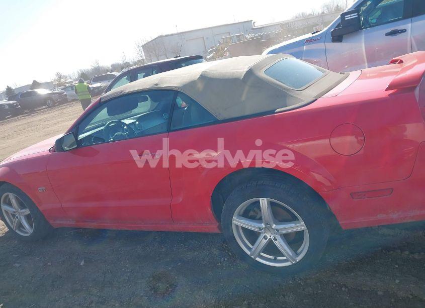 Photo 14 of 2006 Ford Mustang GT (VIN 1ZVHT85H365214187)