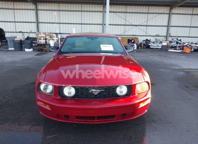 Photo 12 of 2006 Ford Mustang GT (VIN 1ZVHT85H365231488)