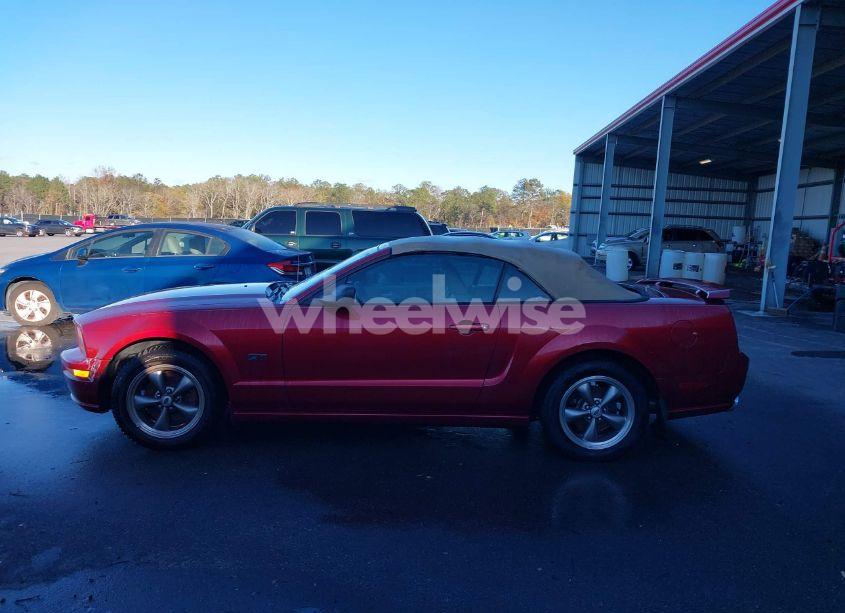 Photo 14 of 2006 Ford Mustang GT (VIN 1ZVHT85H365231488)
