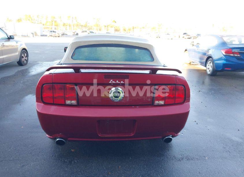 Photo 16 of 2006 Ford Mustang GT (VIN 1ZVHT85H365231488)