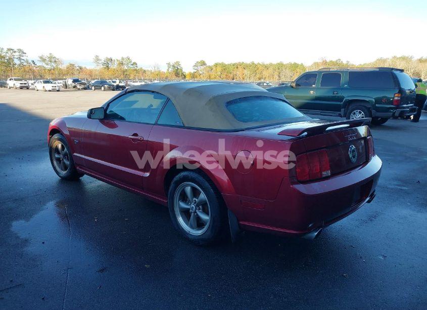Photo 3 of 2006 Ford Mustang GT (VIN 1ZVHT85H365231488)