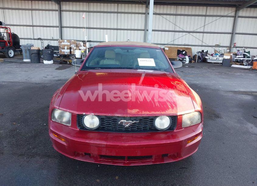 Photo 6 of 2006 Ford Mustang GT (VIN 1ZVHT85H365231488)