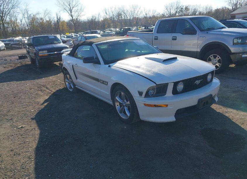 2008 Ford Mustang GT PREMIUM (VIN 1ZVHT85H385122712) main photo