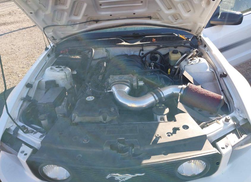 Photo 10 of 2008 Ford Mustang GT PREMIUM (VIN 1ZVHT85H385122712)