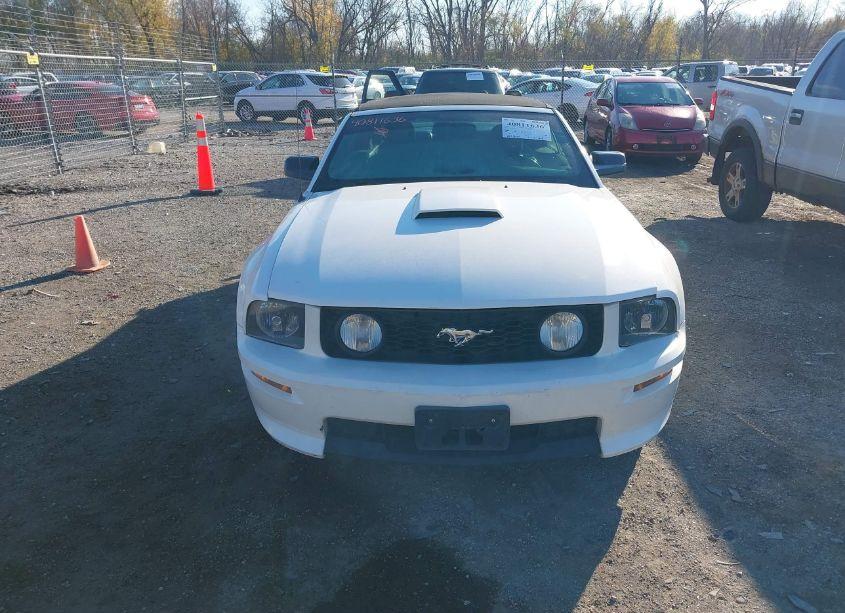 Photo 12 of 2008 Ford Mustang GT PREMIUM (VIN 1ZVHT85H385122712)