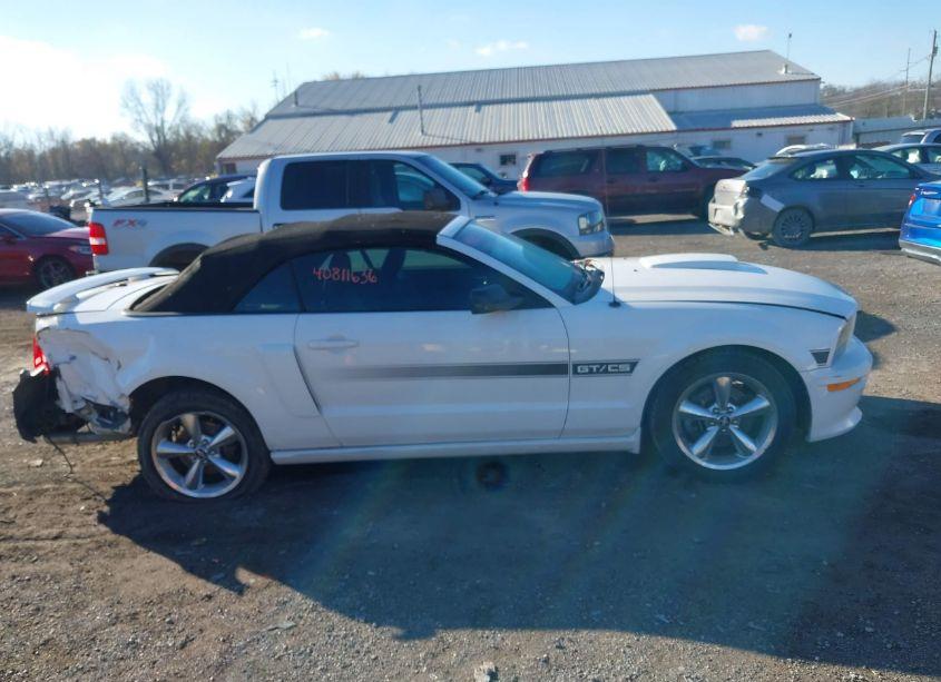 Photo 13 of 2008 Ford Mustang GT PREMIUM (VIN 1ZVHT85H385122712)