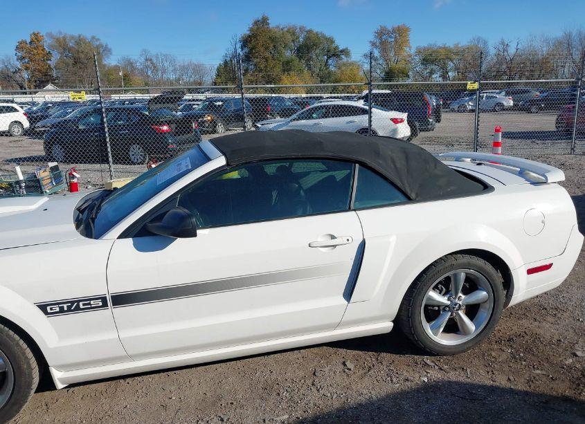 Photo 14 of 2008 Ford Mustang GT PREMIUM (VIN 1ZVHT85H385122712)