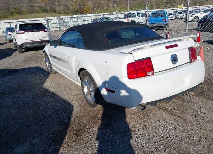 Photo 3 of 2008 Ford Mustang GT PREMIUM (VIN 1ZVHT85H385122712)