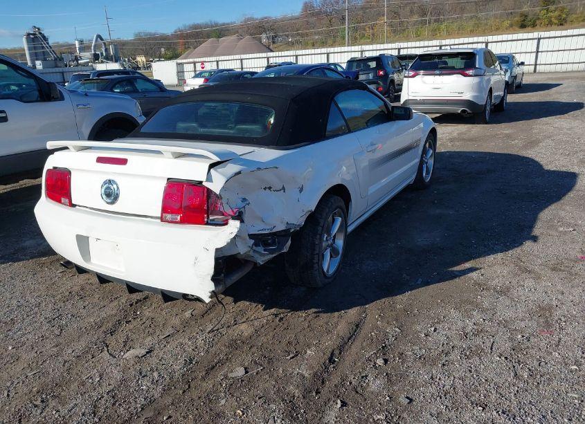 Photo 4 of 2008 Ford Mustang GT PREMIUM (VIN 1ZVHT85H385122712)