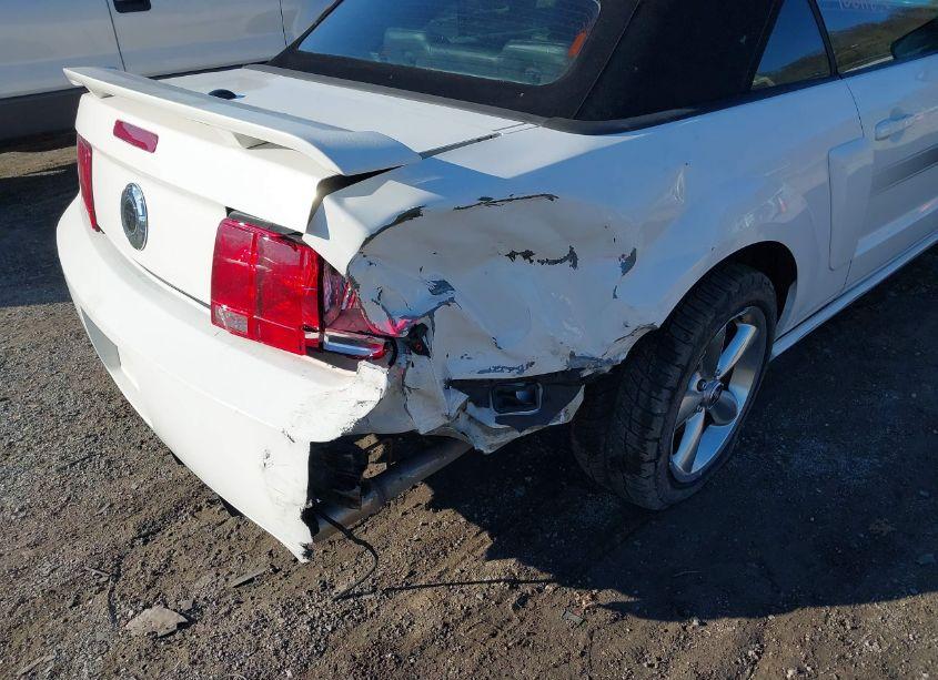 Photo 6 of 2008 Ford Mustang GT PREMIUM (VIN 1ZVHT85H385122712)