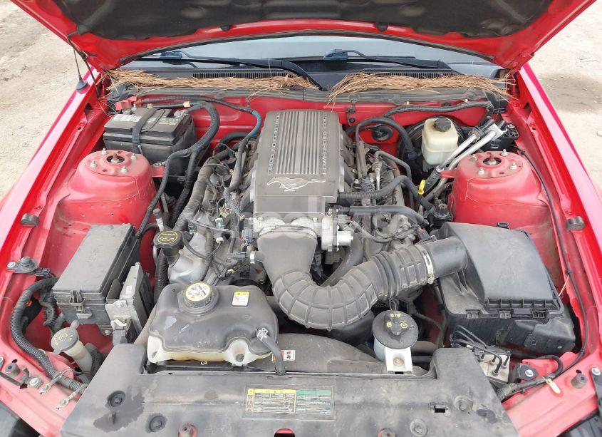 Photo 10 of 2008 Ford Mustang GT DELUXE/GT PREMIUM (VIN 1ZVHT85H485103876)